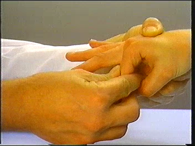 Physical Examination of the Musculoskeletal System (1987)