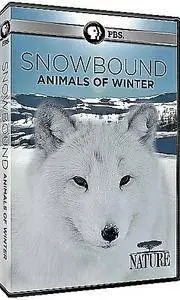 PBS Nature - Snowbound: Animals of Winter (2017)