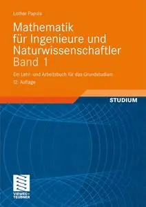 Mathematik für Ingenieure und Naturwissenschaftler 1: Ein Lehr- und Arbeitsbuch für das Grundstudium, 12 Auf (repost)