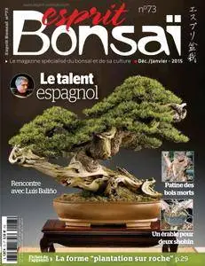 Esprit Bonsai - décembre 01, 2015