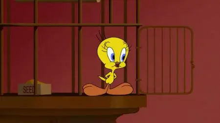 Looney Tunes Cartoons S01E27