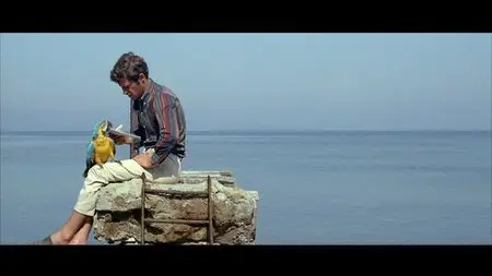 Pierrot le Fou (1965) [The Criterion Collection #421 - Out Of Print] [Re-UP]
