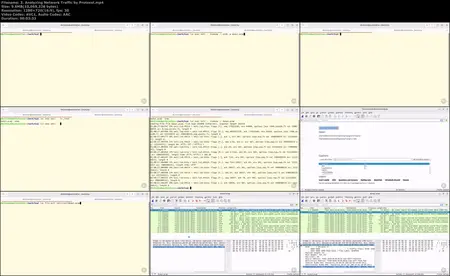 Network Analysis: Identifying Network Protocols with Packet Analysis