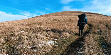 Trail mix (2025)