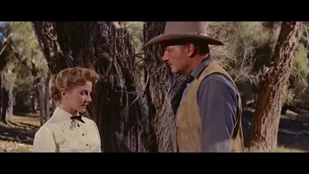 Cattle Empire (1958)