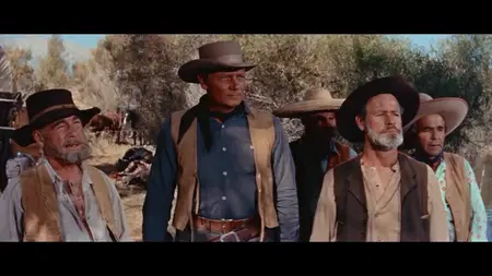 Cattle Empire (1958)