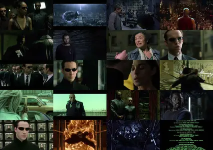 The Matrix Reloaded (2003) [Open Matte]