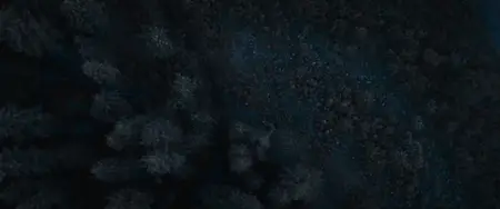 Prey (2022)