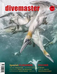 DiveMaster - Januar-März 2025