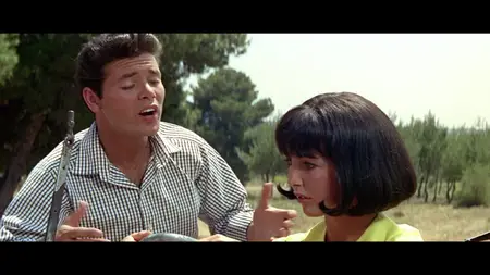 Summer Holiday (1963)