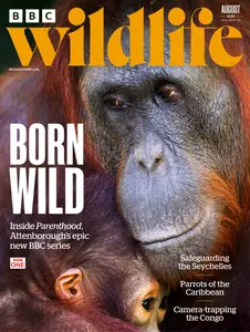 BBC Wildlife - August 2025