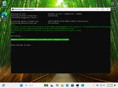 Windows 11 Pro 25H2 Build 26200.6725 (No TPM Required) Preactivated