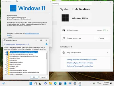 Windows 11 Pro 25H2 Build 26200.6725 (No TPM Required) Preactivated