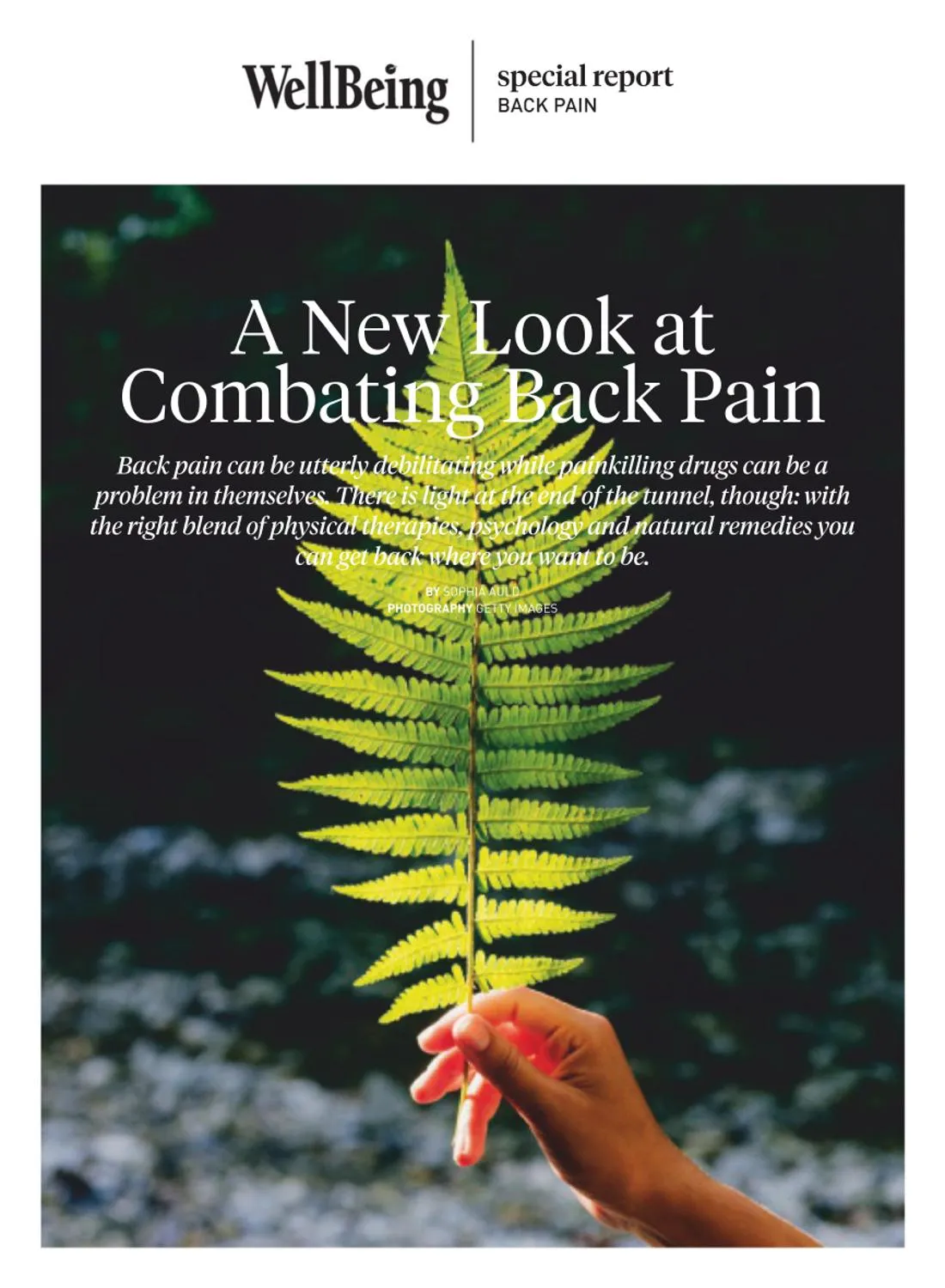 WellBeing Special Report - A New Look at Combating Back Pain 2025
