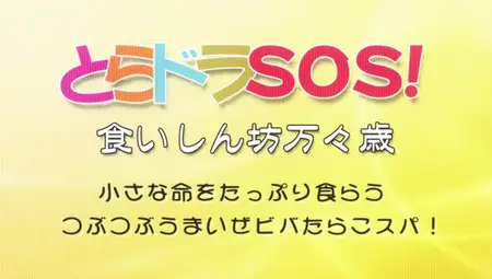 Toradora! SOS - 01 (848x480 h264 BD AAC