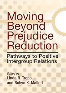 Moving Beyond Prejudice Reduction: Pathways to Positive Intergroup Relations