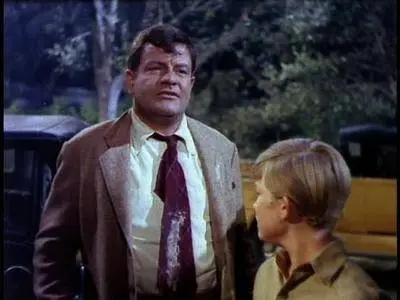 Follow Me, Boys! (1966)