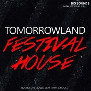 Big Sounds Tomorrowland Festival House WAV MiDi