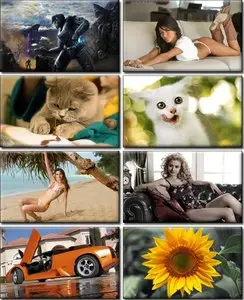 Computer Desktop Wallpapers Collection (101)