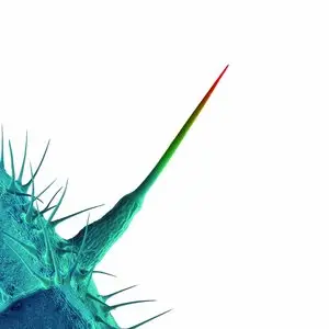 Peter Gabriel - And I'll Scratch Yours (2013)