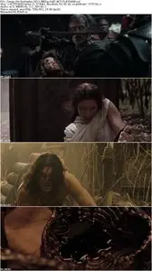 Conan the Barbarian (2011)