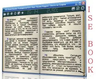 ICE Book Reader Professional 9.0.1(Russian) + Skin Pack
