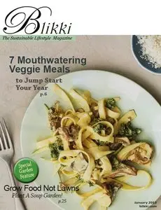 Blikki - January 2013