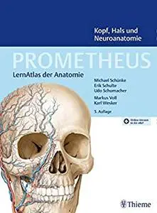 PROMETHEUS Kopf, Hals und Neuroanatomie: LernAtlas Anatomie 5. Auflage