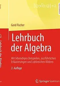 Lehrbuch der Algebra: Mit lebendigen Beispielen, ausführlichen Erläuterungen und zahlreichen Bildern [Repost]