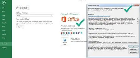 Microsoft Office Professional Plus 2013 SP1 15.0.5049.1000