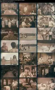 Fireball Jungle (1968) 