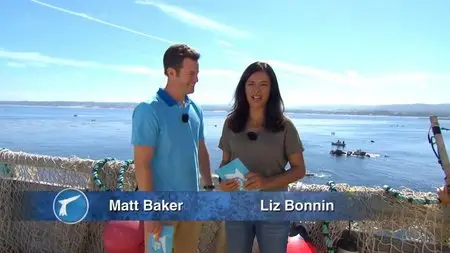 BBC - Big Blue Live: 2015