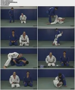 Xande Ribeiro Instructional BJJ