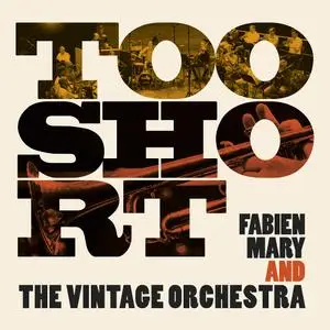 Fabien Mary & Vintage Orchestra - Too Short (2021) [Official Digital Download 24/48]