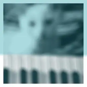 Peter Broderick - Piano Works Vol. 1 (Floating in Tucker's Basement) (2022) [Official Digital Download 24/48]
