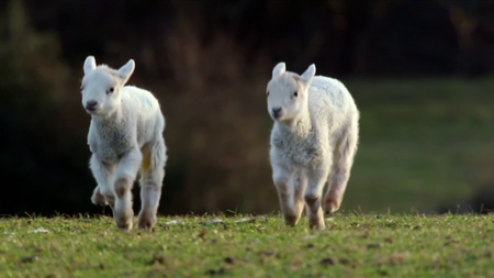 BBC - Countryfile: Spring Diaries (2016)