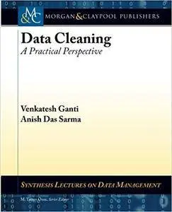 Data Cleaning: A Practical Perspective