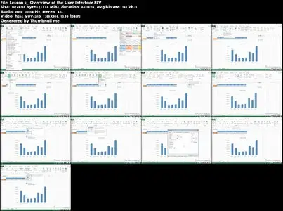 MathTutor - Mastering Excel 2013