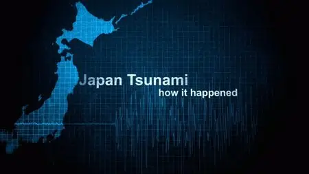 Japans Tsunami 2011 - How it Happened