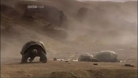 BBC - Lonesome George and the Battle for Galapagos (2007)