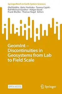 GeomInt—Discontinuities in Geosystems From Lab to Field Scale
