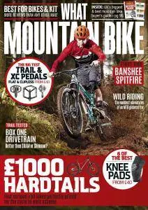 What Mountain Bike - April 2017