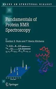 Fundamentals of Protein NMR Spectroscopy (Focus on Structural Biology)