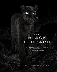 The Black Leopard: My Quest to Photograph One of Africa’s Most Elusive Big Cats