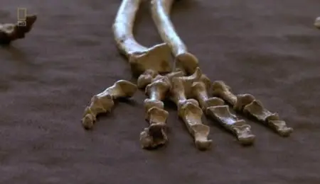 National Geographic - The Two-Million Year Old Boy (2012)