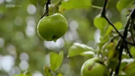 BBC - Apples: British to the Core (2011)