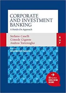 Corporate and Investment Banking: A Hands-On Approach