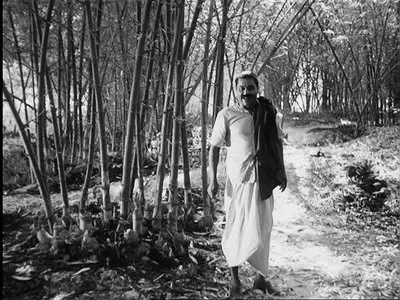 Satyajit Ray - The Apu Trilogy (1955-1959) [Artificial Eye #230] [ReUp]