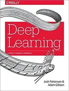 Deep Learning: A Practitioner's Approach