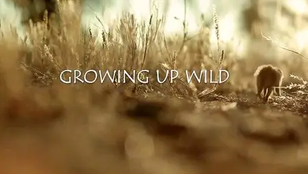 BBC - Natural World: Growing Up Wild (2015)